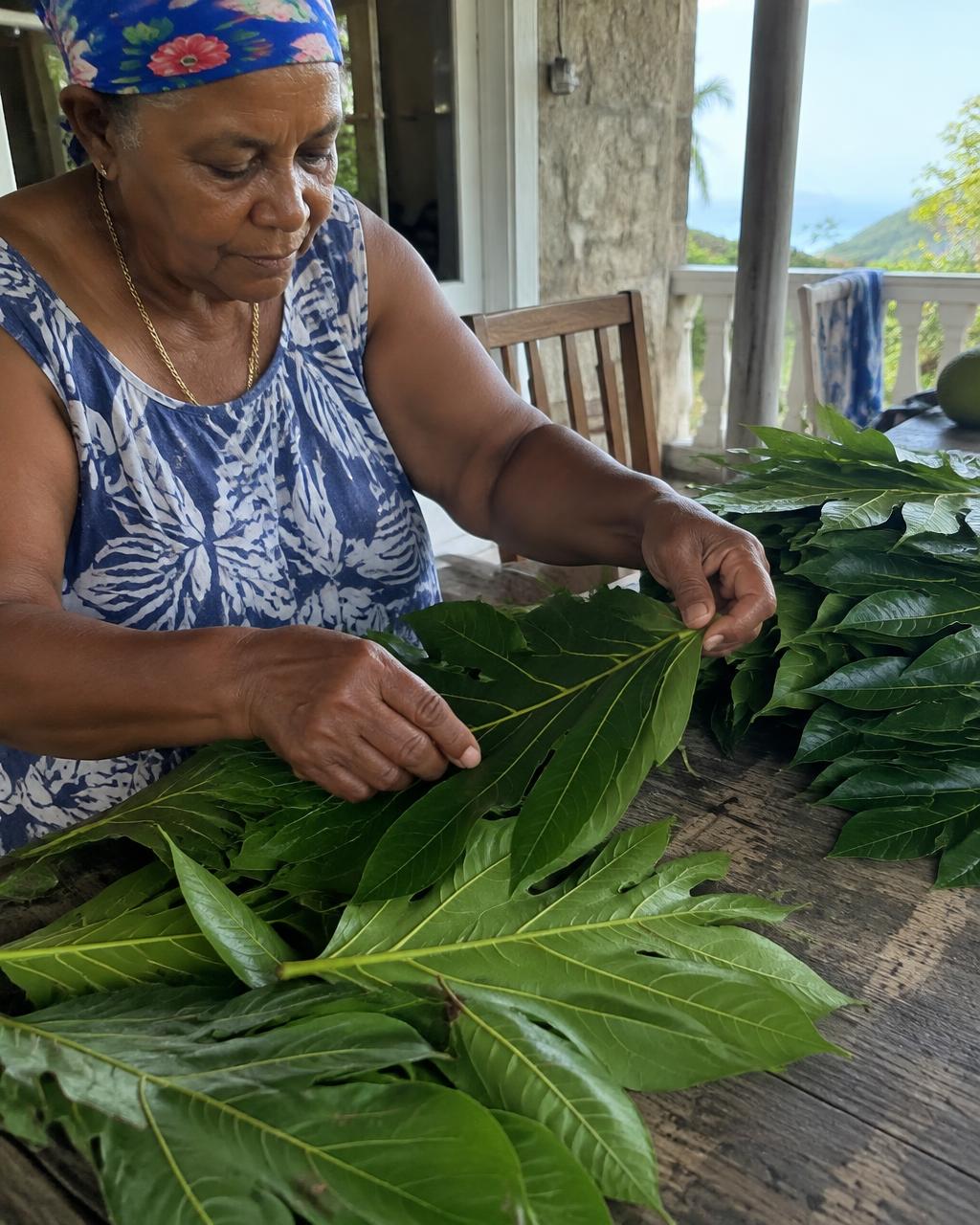 A Seychellois woman hand-sorting fresh breadfruit leaves on a veranda
